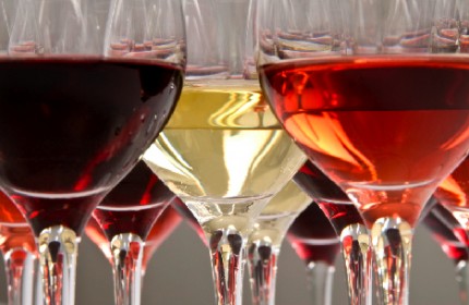 Vine tasting Vine tasting