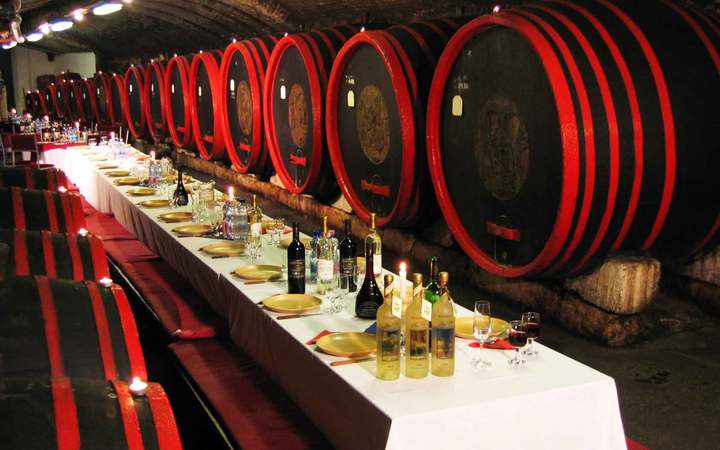 Vine tasting Vine tasting